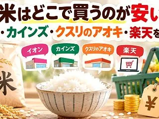 お米はどこで買うのが安い？イオン・カイン…