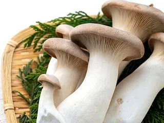 「エリンギ」 豊富な「食物繊維」で「腸内…