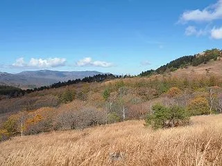 物見岩へ