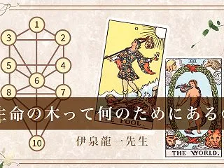 生命の木って、何のためにあるの？――「生…