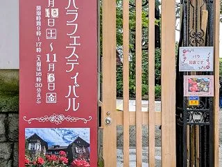 秋バラ見物に行きました