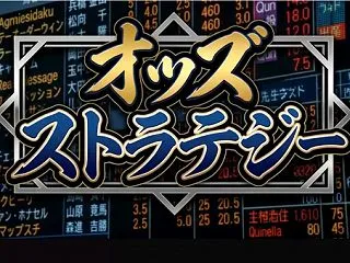 【１０月３０日販売終了】オッズストラテジ…