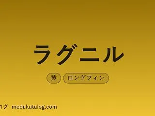 ラグニルとは｜特徴・値段・蛇墨武との関係
