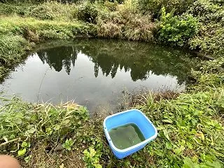 今日は、メダカの放流などなど！