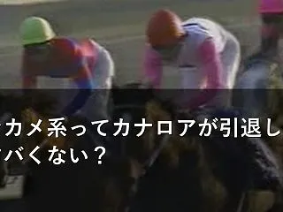 キンカメ系ってカナロアが引退したらヤバく…