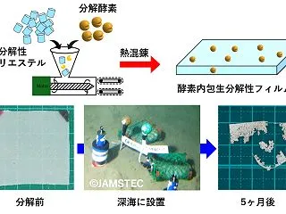 ヒマラヤからマリアナ海溝まで、水があれば…