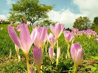 10/31土曜は知多市で練習の予定です