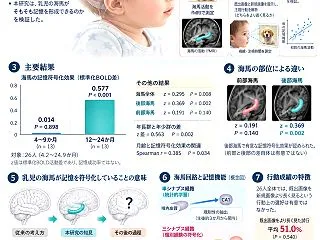 生後1歳の乳児は、すでに海馬でエピソード…