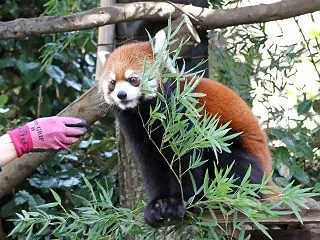 よこはま動物園ズーラシア【１】