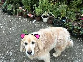 心配性だから＾＾；