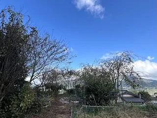 今日から少し冷え込みそうなのと、過去生か…