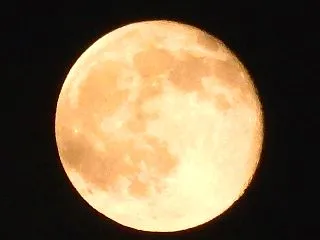 観 満月