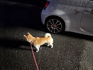 10月27日 福岡県広川町H様住宅新築工…