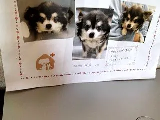 パソコンで書いてみる
