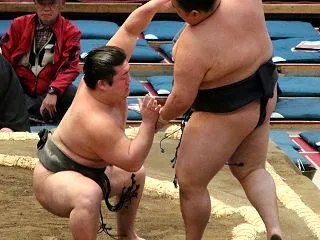 嵐富士の出世街道