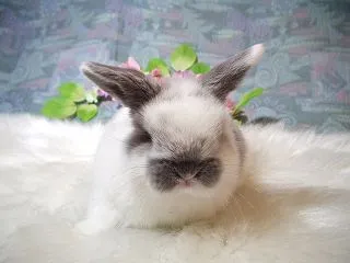 なみふくがリニューアル