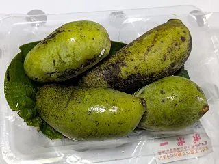 珍しい果物ポポーを食べてみた！マンゴーみ…