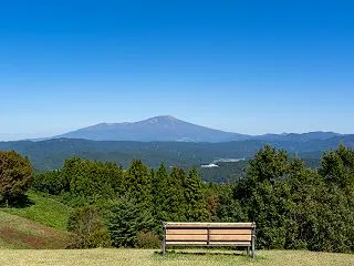 日本シリーズ