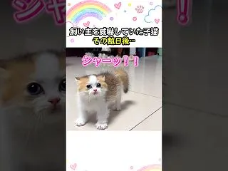 こんにちは