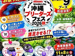 沖縄のアクアリウムのお祭り開催！