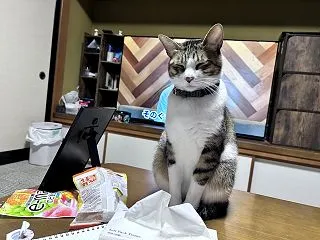 眠たいくせに・・・