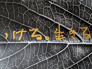 終了しました第107回草月流いけばな展～…