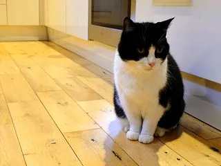 終わり時がわからない。