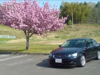 不安だらけ。