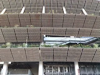 《マラソン大会》東京レガシーハーフマラソ…