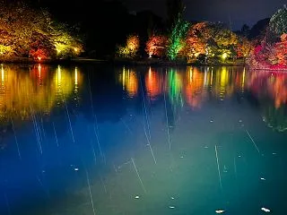 中島公園紅葉ライトアップは雨の日もおすす…