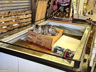 戸畑の町