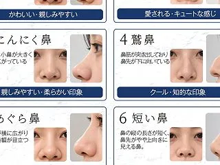 【鼻の形8タイプ】自分の鼻、何タイプか知…