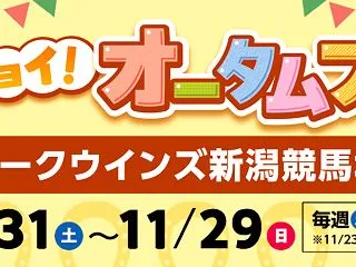 パークウインズ新潟競馬場で開催されるオー…