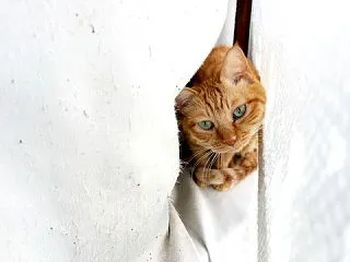 挟まれて