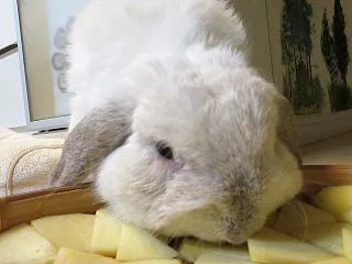 美味しいおやつ