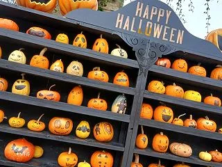 ひらパー写真スポット☆ハロウィン&amp…