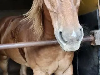 子育ては親育て