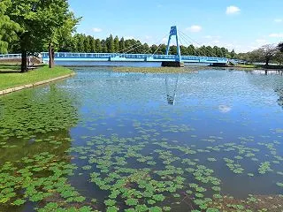 水元公園散策