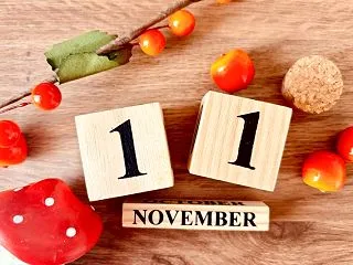 11月のスケジュール