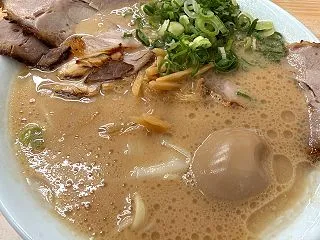 【魁龍 博多本店】福岡のどトンコツ！ずん…