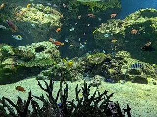 よく噛んで