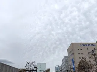 2026年第15回フードバレーとかちマラ…