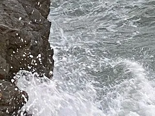 ブログが面倒になってきた