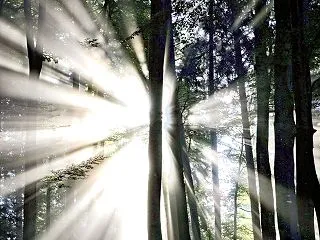 夢からのお告げ