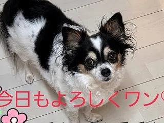 難しい…洗い物の姿勢(￣▽￣;)