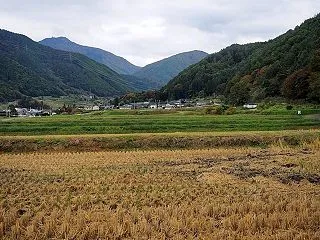 ★里山の色付きが徐々に進む 2026
