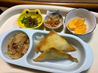 孫っち仕様の春巻き