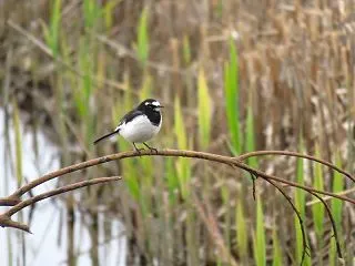 隠れ家１