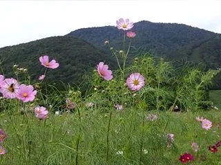 温め用品