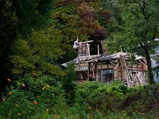 朽ちゆく時間、咲き残る季節 （北谷集落/…